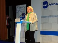 Intervención de Mercedes Fernández 