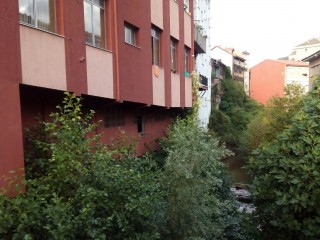 Los árboles ya llegan a las ventanas