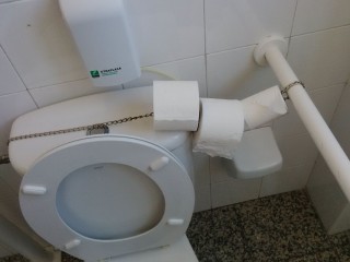 El papel higiénico en la casa de la música