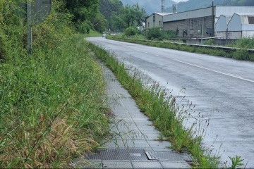 Llegar a pie al hospital de Mieres, tarea para Frank de la Jungla. El PP denuncia el estado 