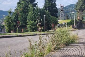 El PP reprocha al Alcalde que pida al Principado limpiar carreteras, cuando él no lo hace en las suyas